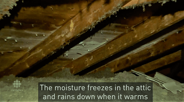 attic freezes during cold weather.001png